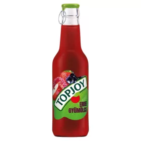 Topjoy Waldfruchtgetraenk – 250 ml